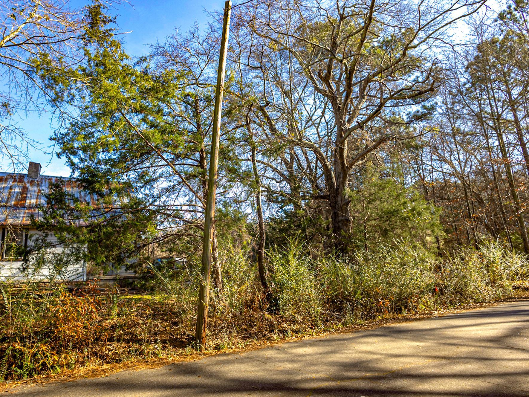 241 Boozer Road Enoree, SC 29335 - Photo 4 of 12