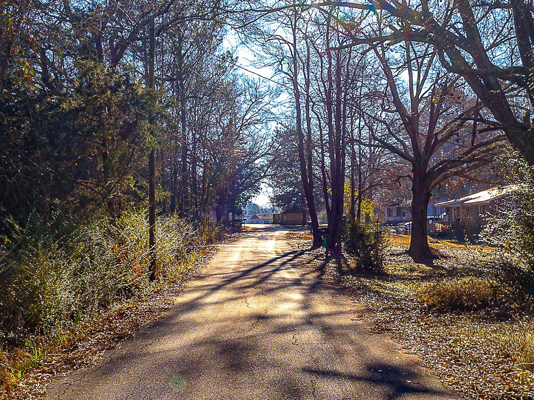 241 Boozer Road Enoree, SC 29335 - Photo 5 of 12