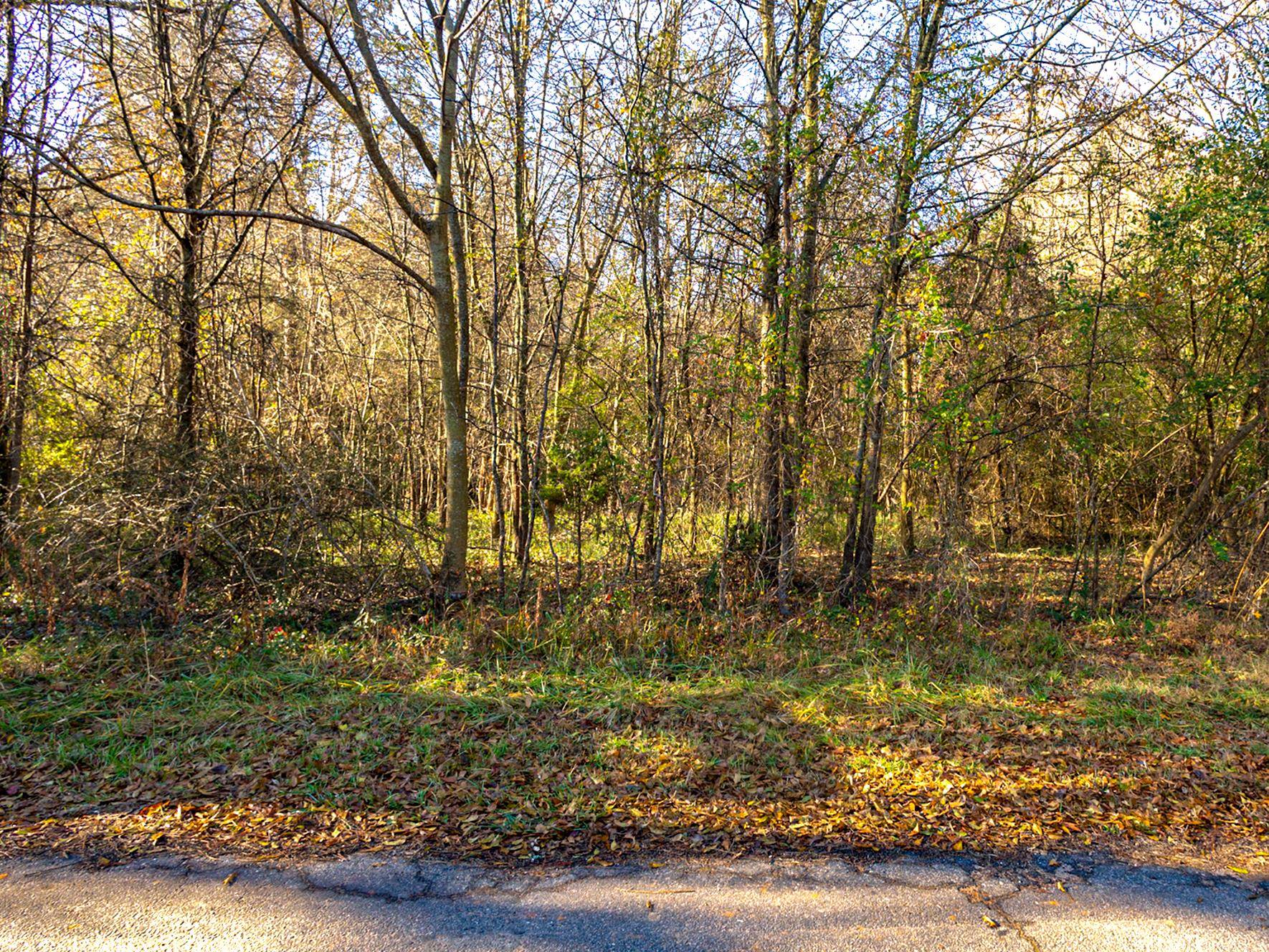 241 Boozer Road Enoree, SC 29335 - Photo 6 of 12