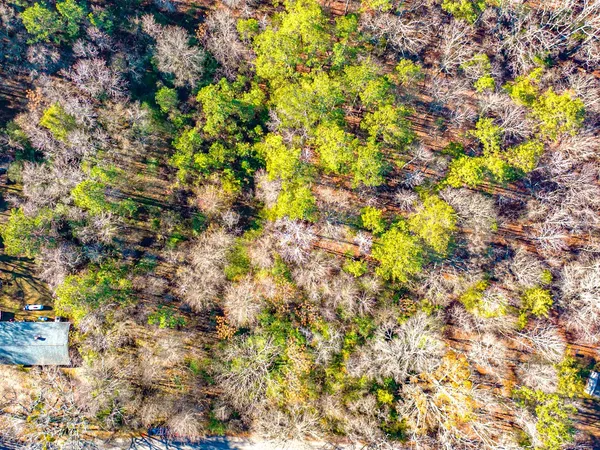 $18,308 | 241 Boozer Road, Enoree, SC 29335