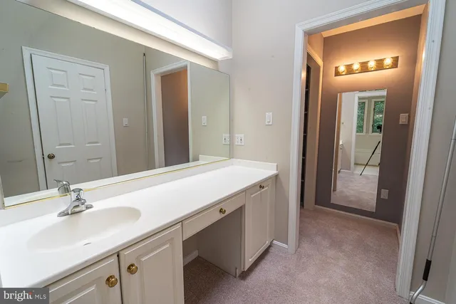 a bathroom with a sink a mirror and a shower