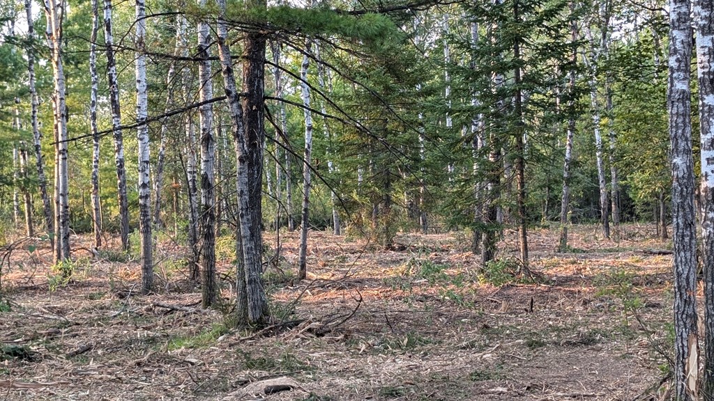 Lot 6 Wandering Down Road Fish Creek, WI 54212 - Photo 6 of 21