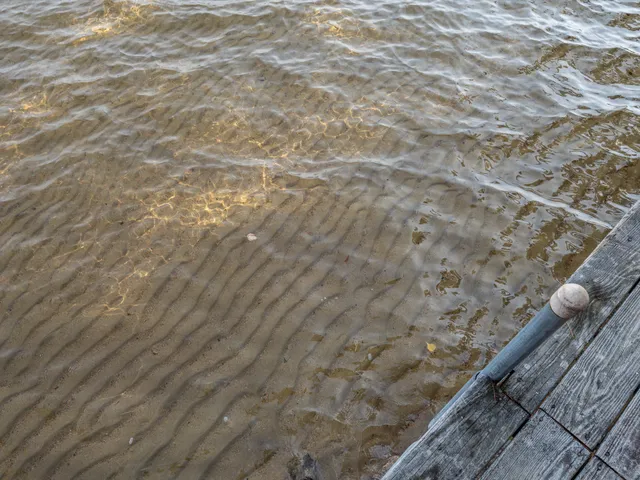 $979,000 | 51 Butterworth Drive, Naples, ME 04055