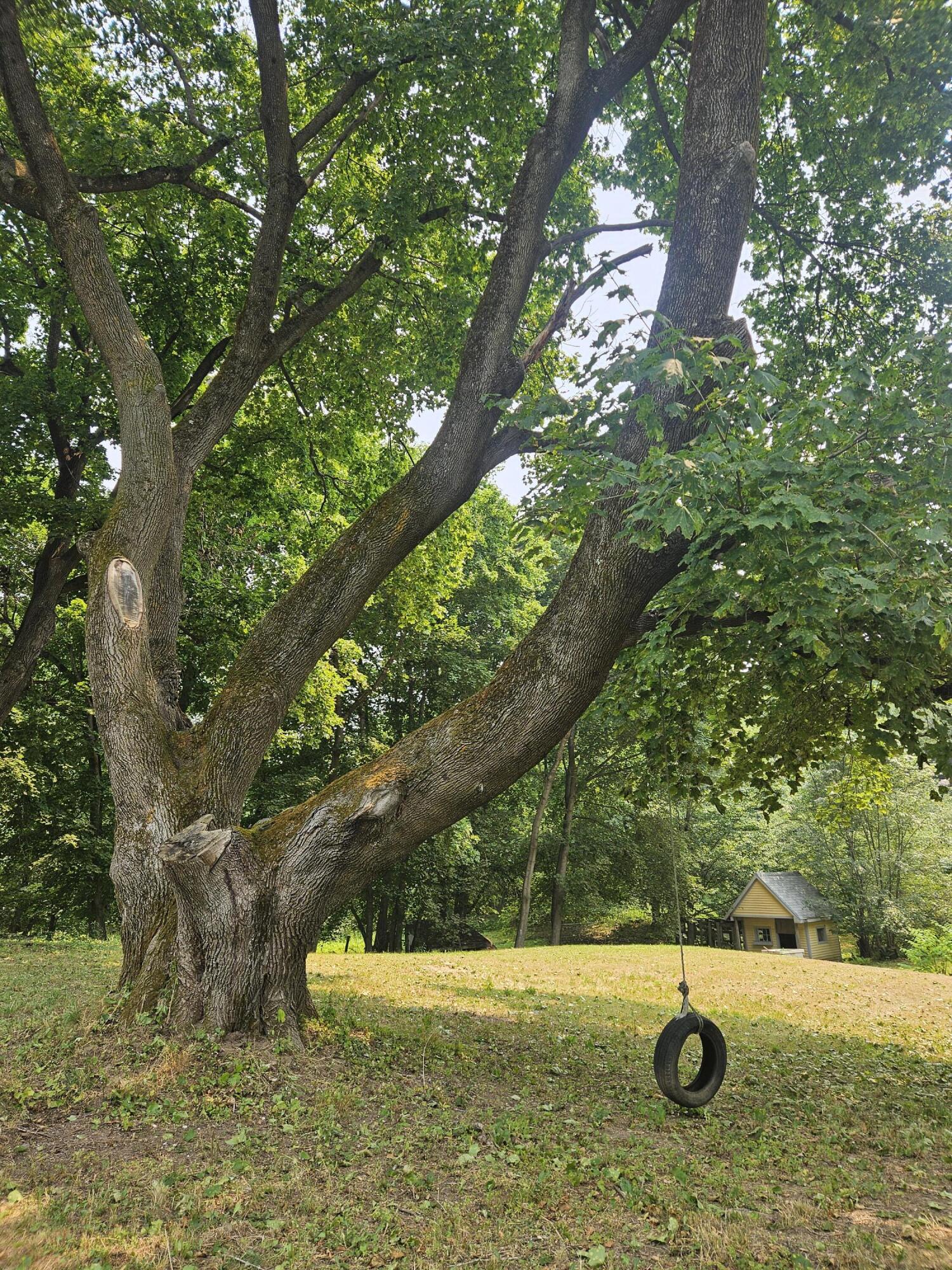 497 North Parish Road Turner, ME 04282 - Photo 59 of 67 Tire swing