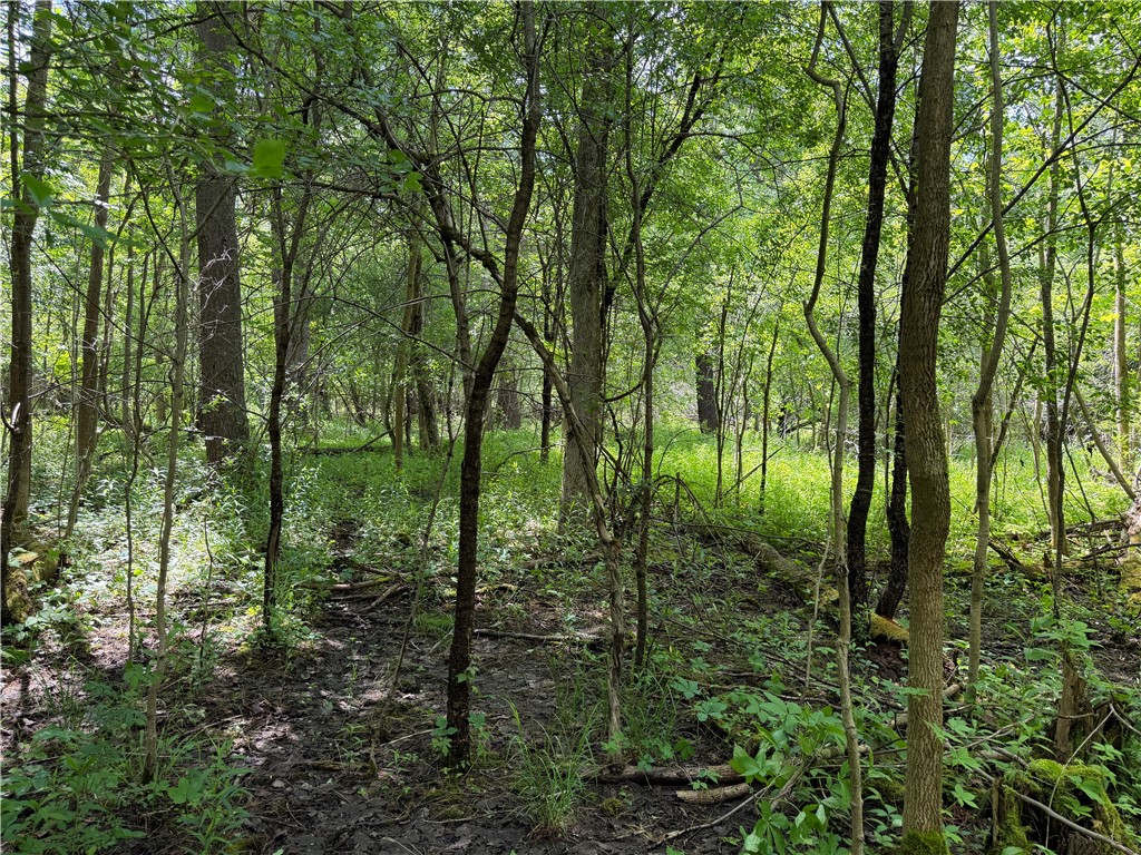 Vl Reed Road Dansville, NY 14437 - Photo 16 of 29