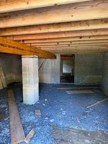 a large body of water with a tree in the background