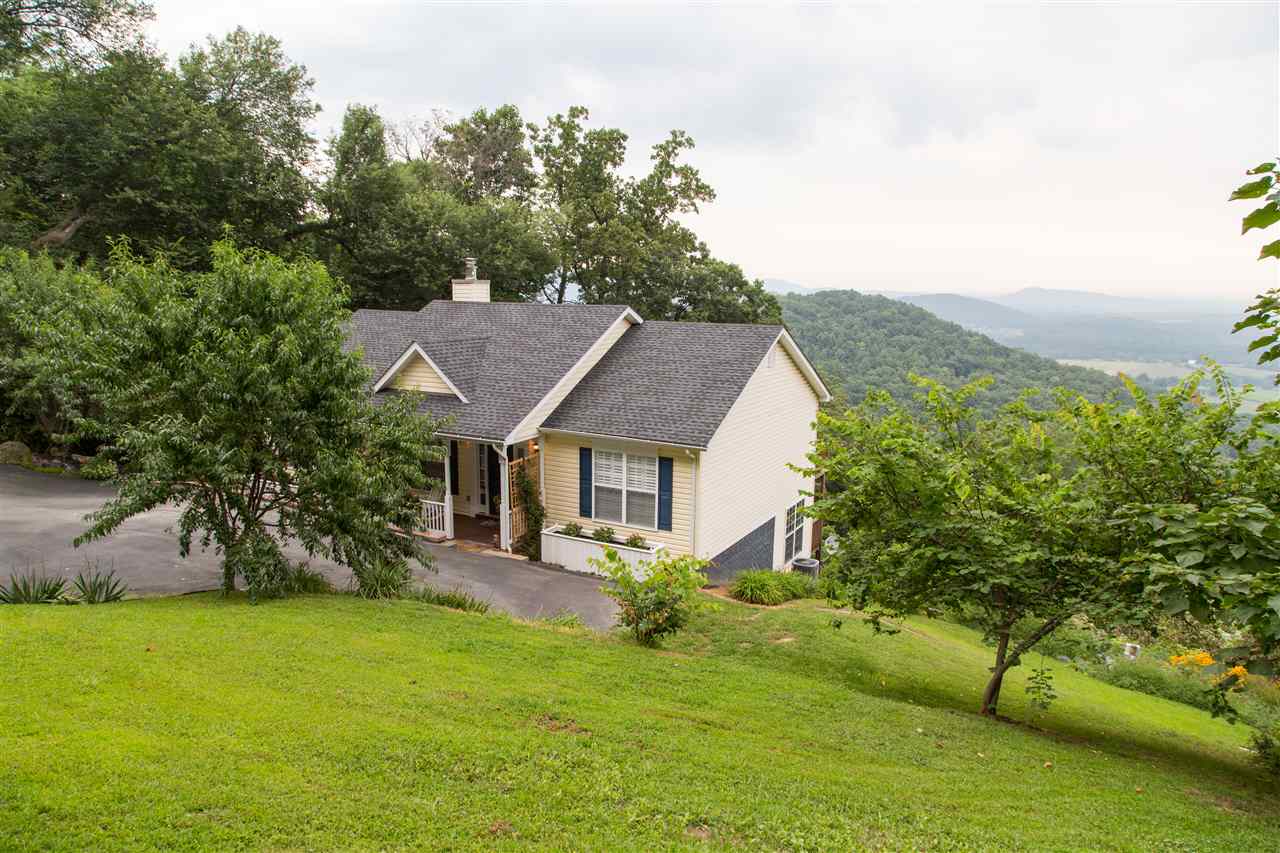 898 Turkey Ridge Road Stanardsville, VA 22973 - Photo 30 of 30 a view of a house with a big yard potted plants and large tree