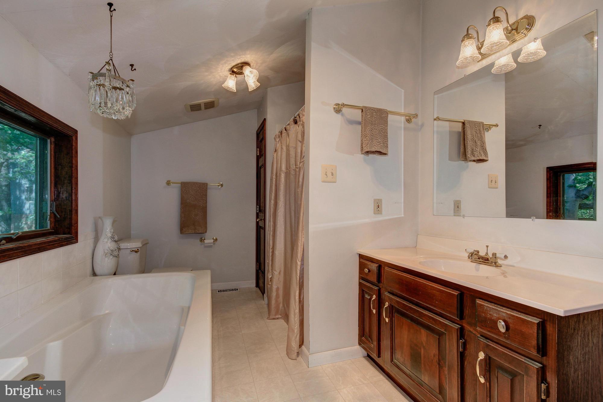 13336 Hunt Ridge Road Ellicott City, MD 21042 - Photo 16 of 30 Spa-Like Master Bath