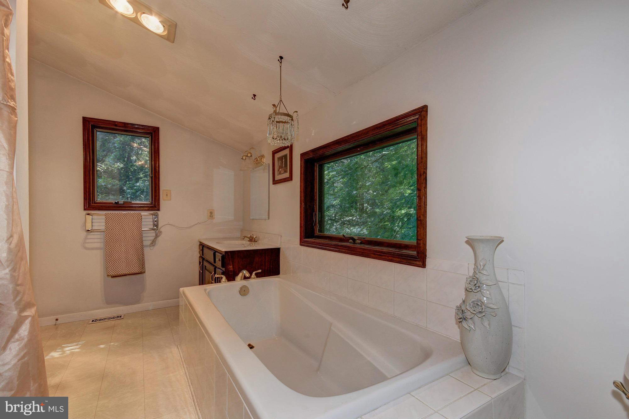 13336 Hunt Ridge Road Ellicott City, MD 21042 - Photo 17 of 30 Spa-Like Master Bath