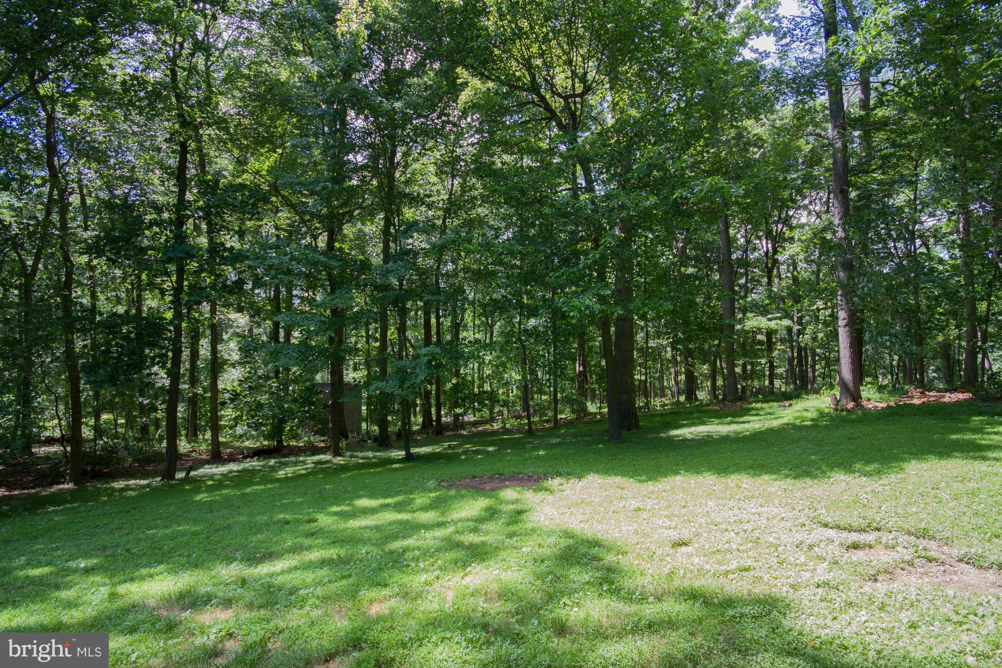 13336 Hunt Ridge Road Ellicott City, MD 21042 - Photo 26 of 30 Landscaped Grounds