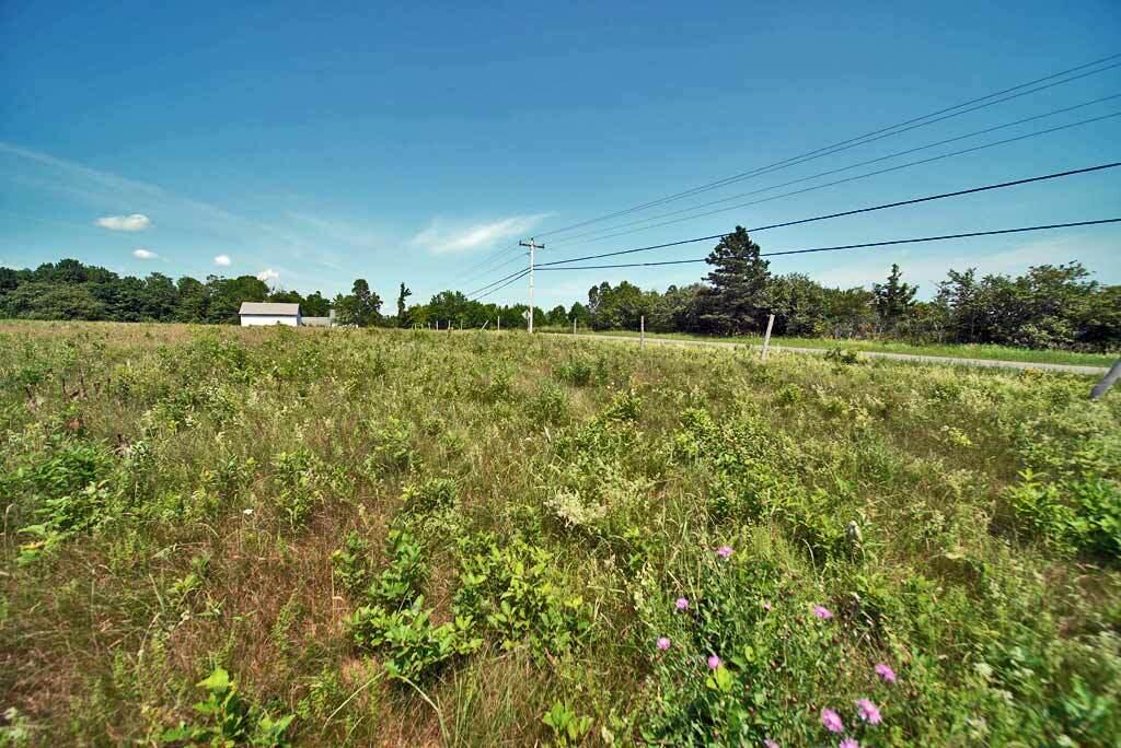 589 Springfield Road Danforth, ME 04424 - Photo 14 of 42 maine-agriculture-property