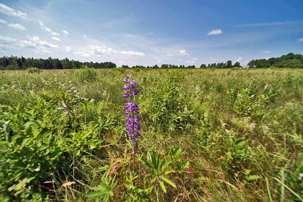 589 Springfield Road Danforth, ME 04424 - Photo 15 of 42 land-maine-property-farm