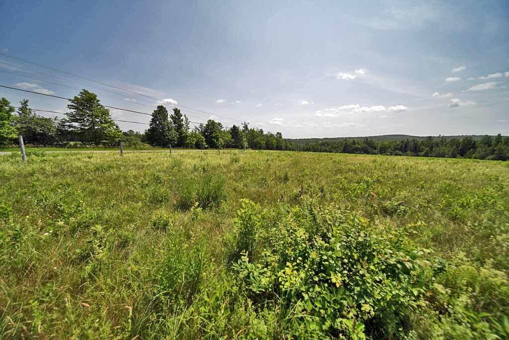 589 Springfield Road Danforth, ME 04424 - Photo 29 of 42 farm-land-maine-acreage