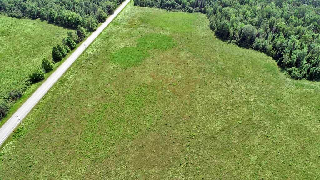 589 Springfield Road Danforth, ME 04424 - Photo 5 of 42 farm-field-maine-land
