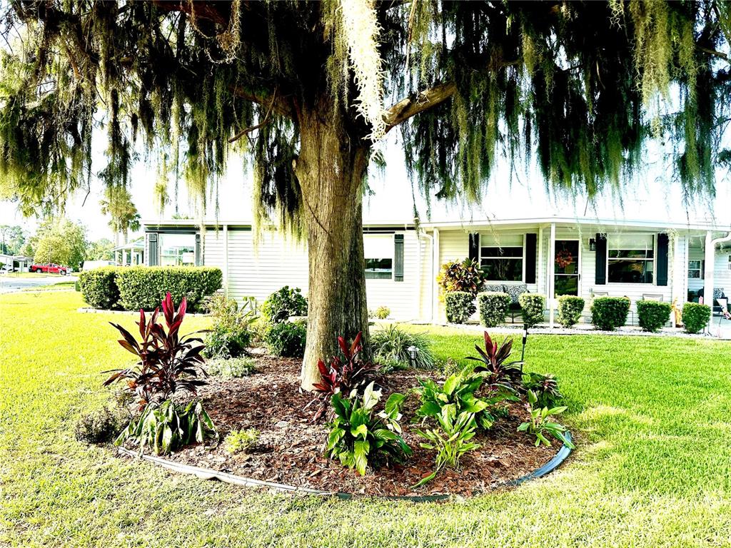 2409 Vindale Road Tavares, FL 32778 - Photo 2 of 49