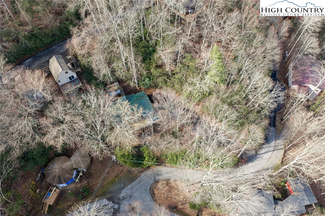 131 Hemlock Road Banner Elk, NC 28604 - Photo 30 of 37 a view of a dry yard with lots of trees