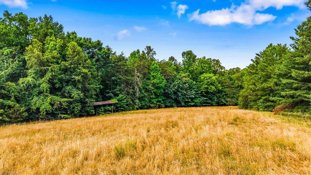 8471 Linville Road Oak Ridge, NC 27310 - Photo 3 of 10