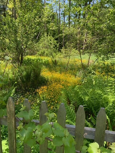 65 Ocean House Road Cape Elizabeth, ME 04107 - Photo 63 of 67 IMG_3857 (1)