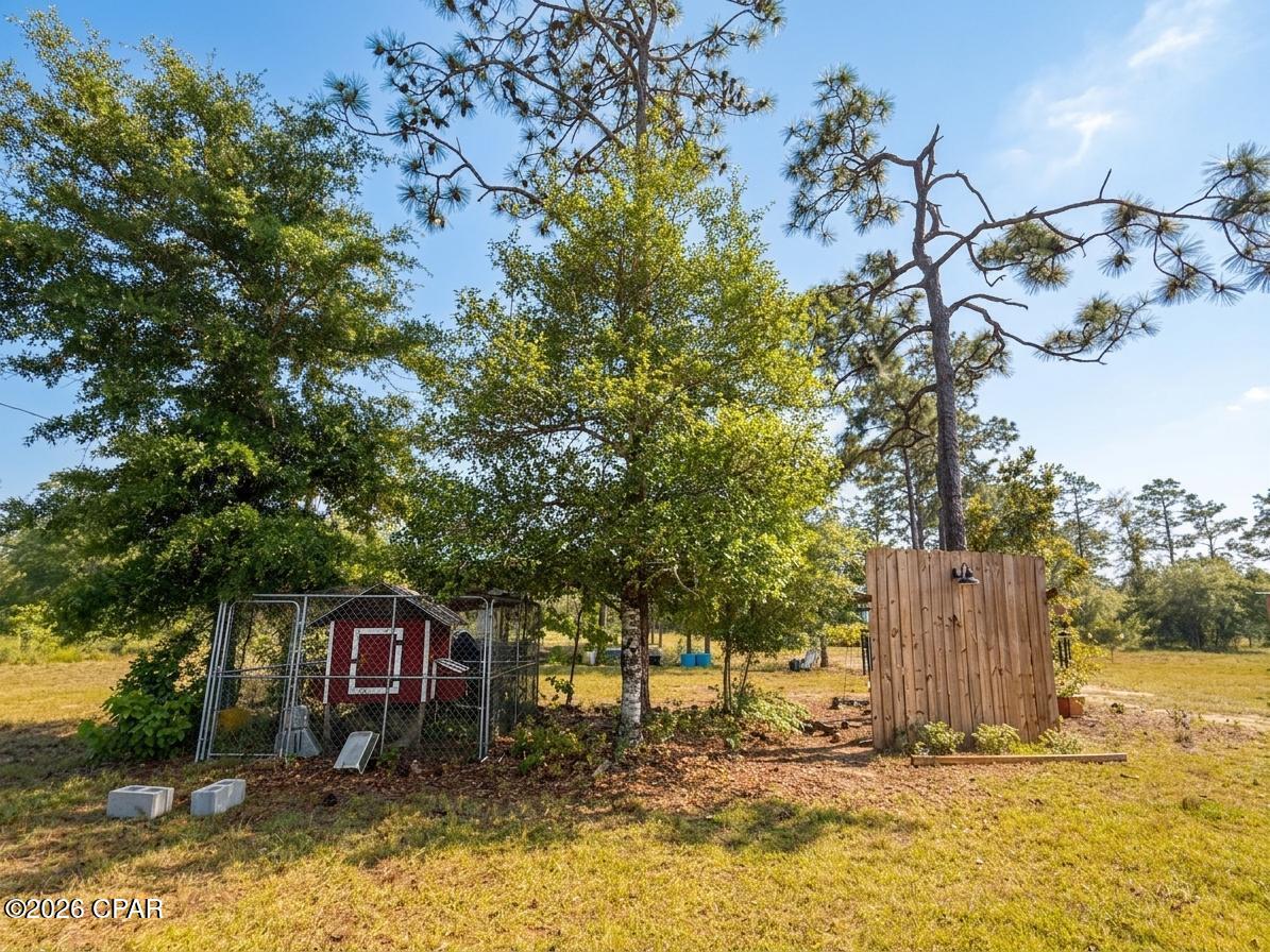 268 Horse Farm Road Marianna, FL 32448 - Photo 5 of 21