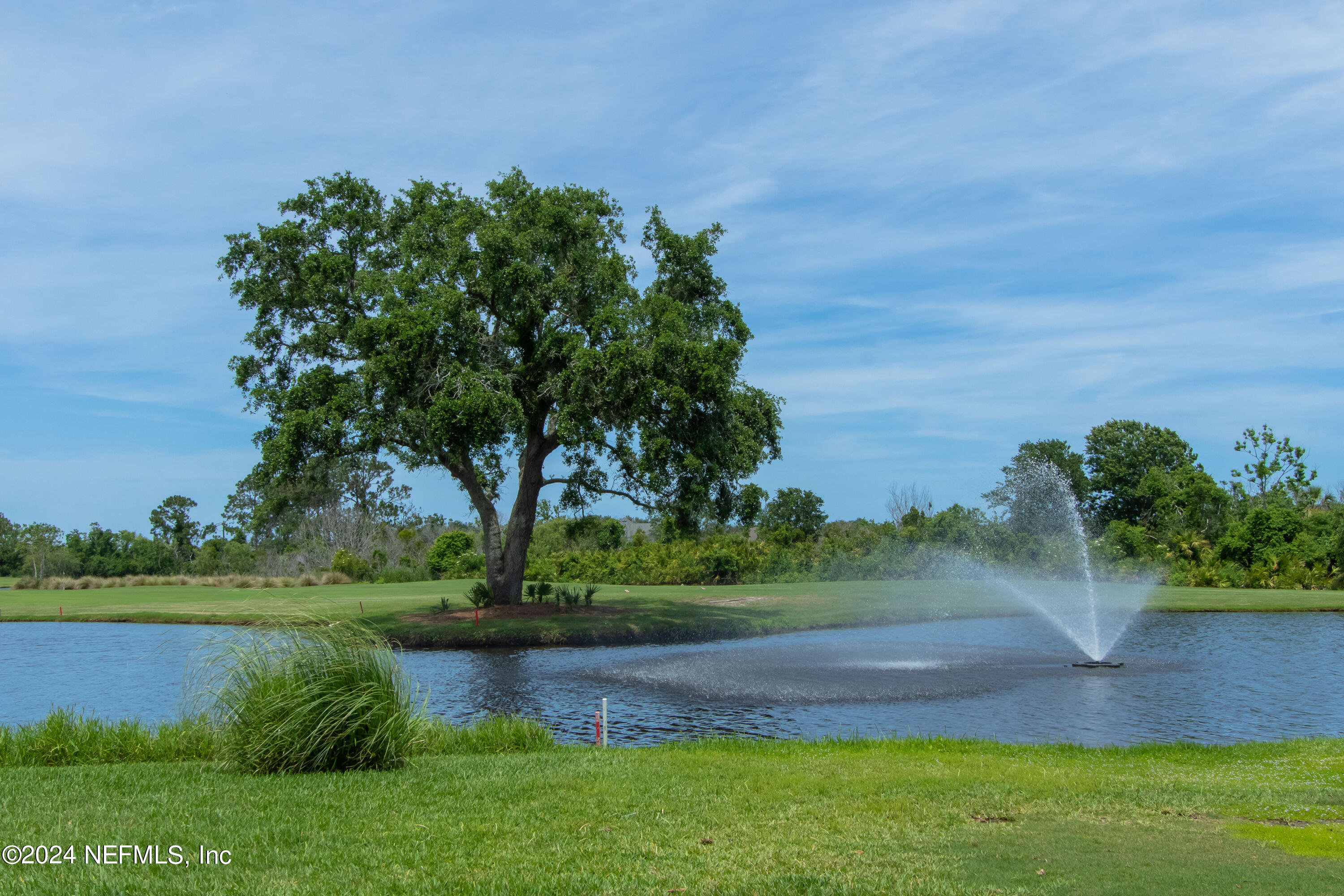 348 Fiddlers Point Drive St. Augustine, FL 32080 - Photo 54 of 58 a view of a garden with a lake