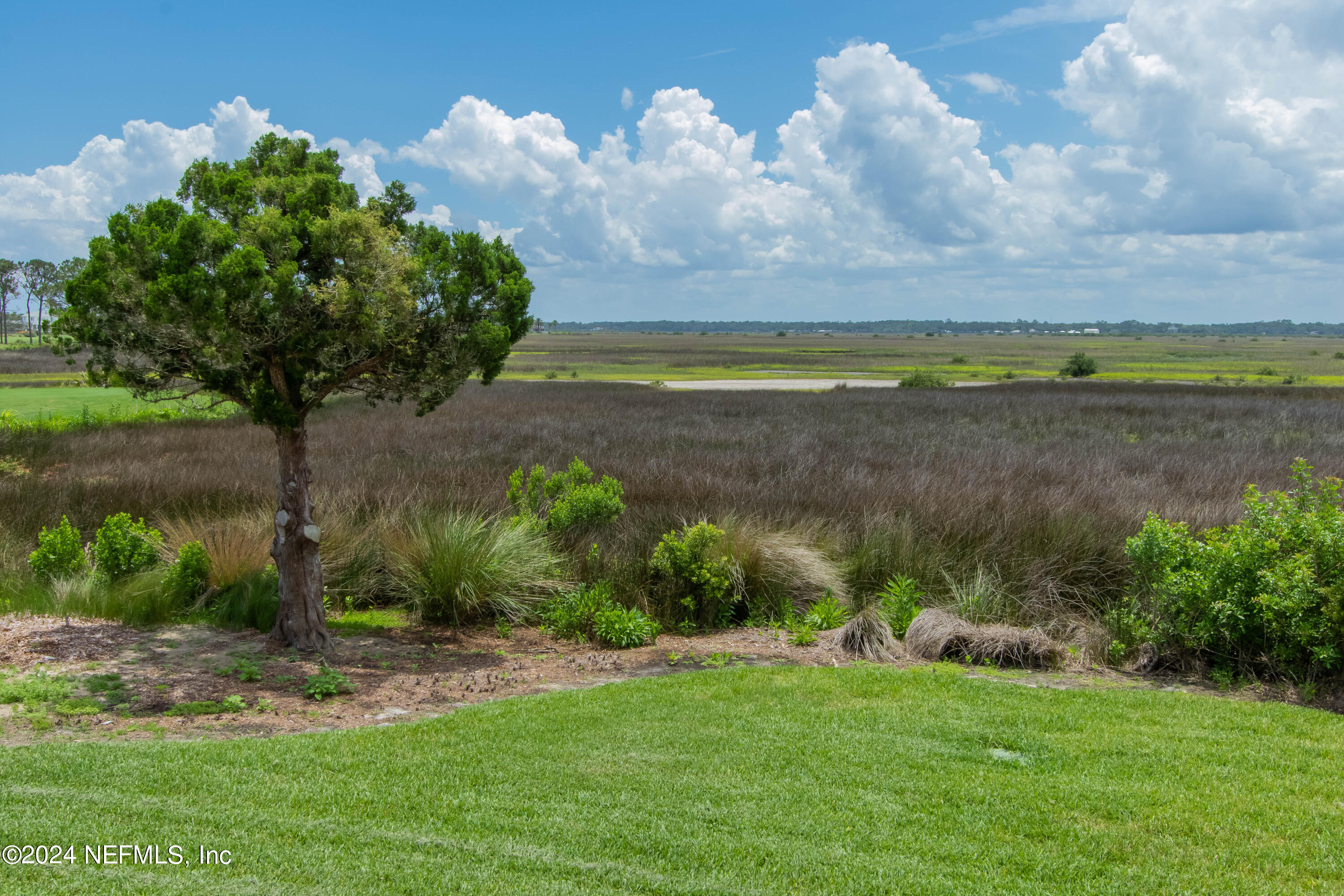 348 Fiddlers Point Drive St. Augustine, FL 32080 - Photo 58 of 58 a view of a garden with an ocean