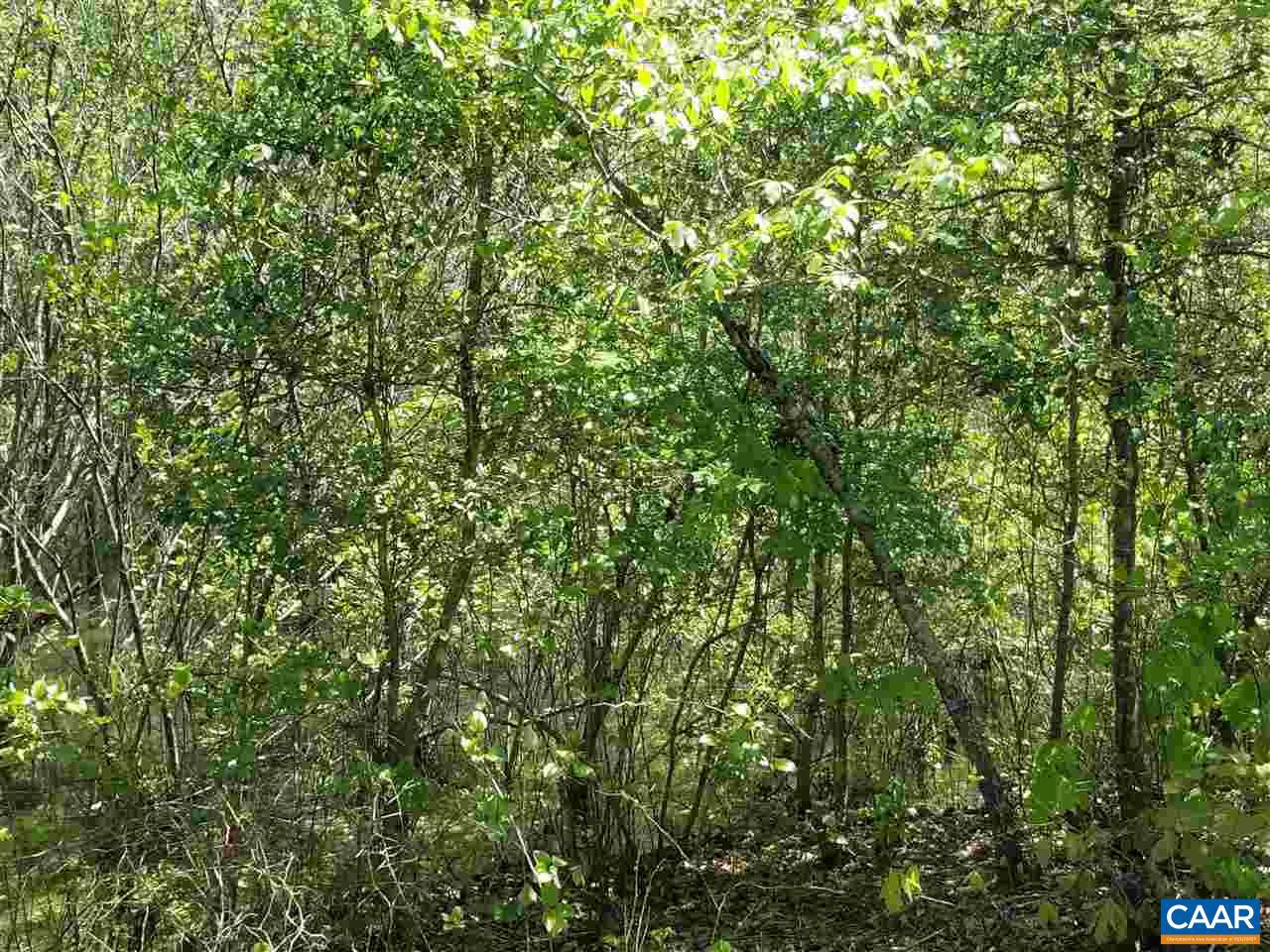 0 Belsches Road Bumpass, VA 23024 - Photo 12 of 43 Gallery Image 12