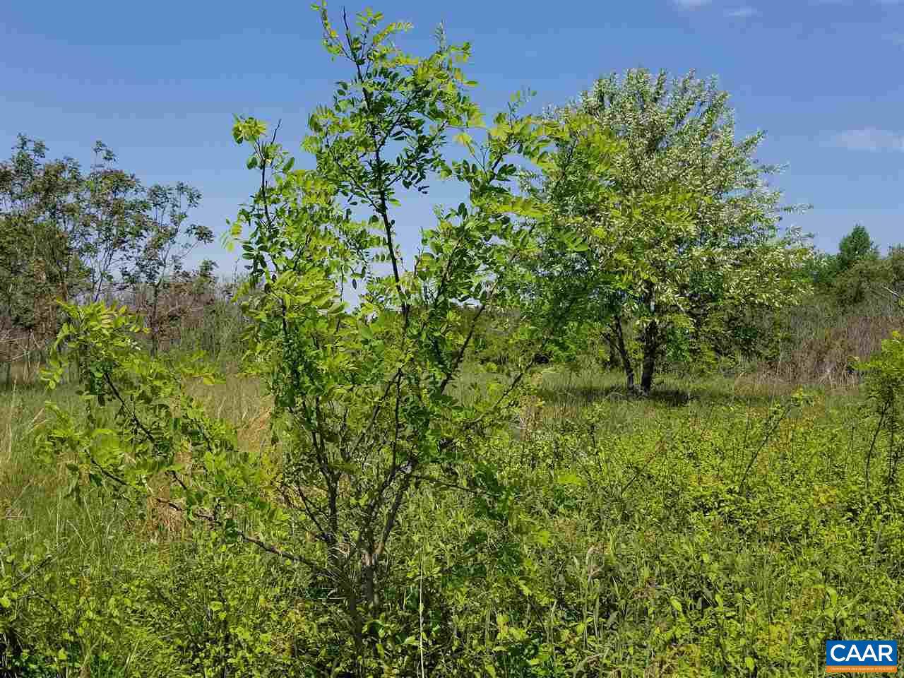 0 Belsches Road Bumpass, VA 23024 - Photo 14 of 43 Gallery Image 14