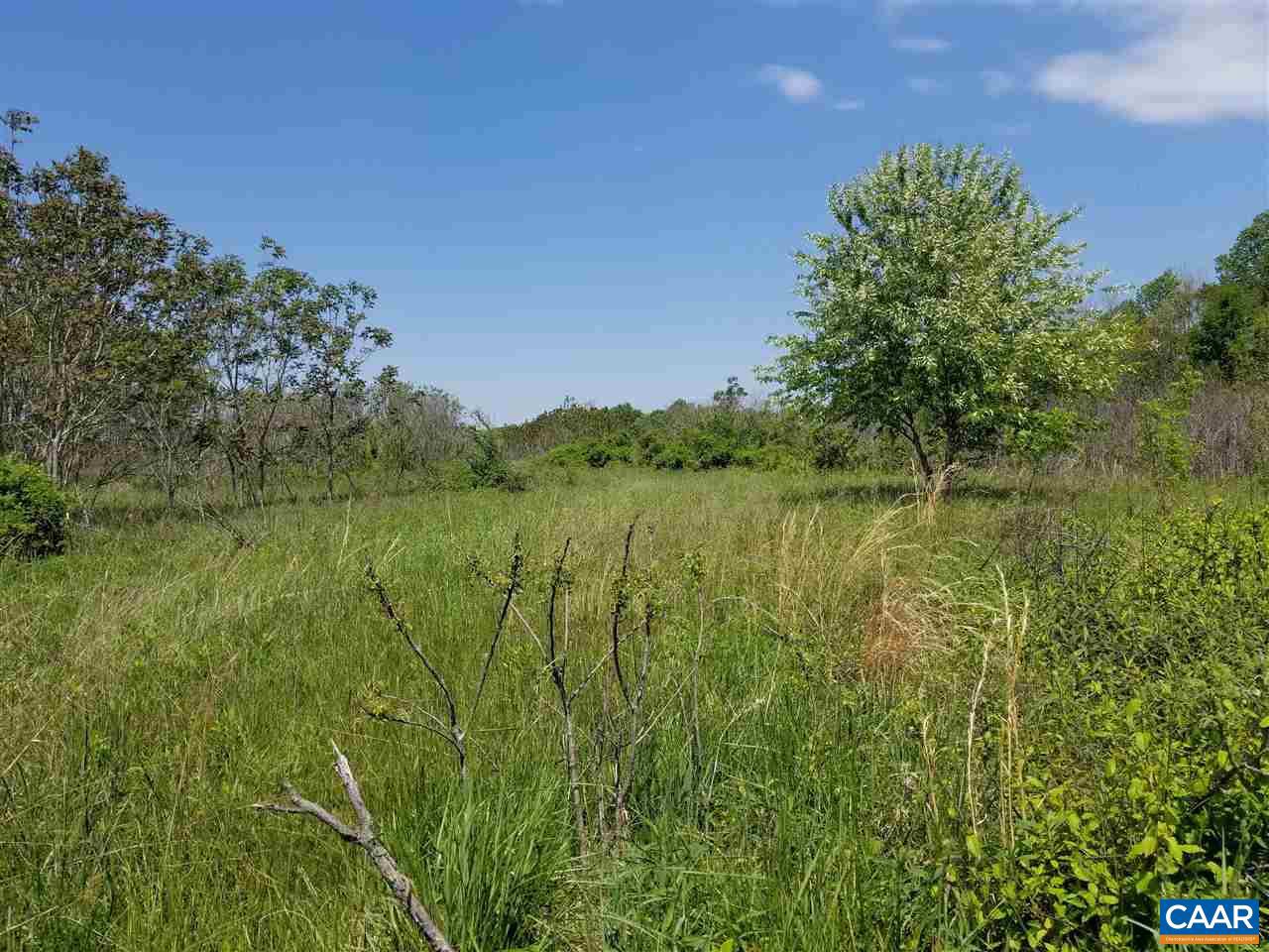 0 Belsches Road Bumpass, VA 23024 - Photo 15 of 43 Gallery Image 15