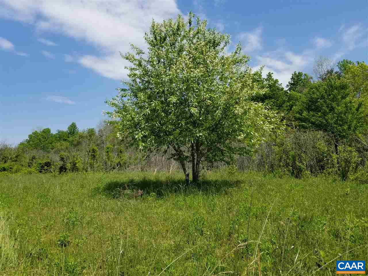 0 Belsches Road Bumpass, VA 23024 - Photo 16 of 43 Gallery Image 16