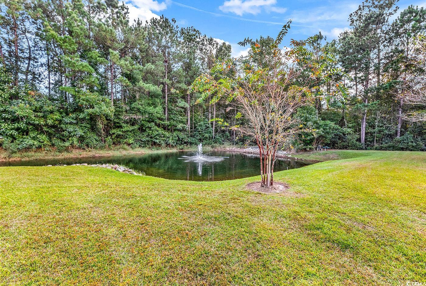 145 Stonegate Boulevard, Unit 145 Murrells Inlet, SC 29576 - Photo 32 of 40 Gallery Image 32
