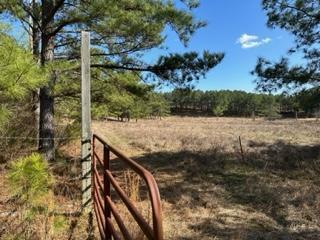 0 Busby Church Road Nauvoo, AL 35578 - Photo 9 of 24 Gallery Image 9