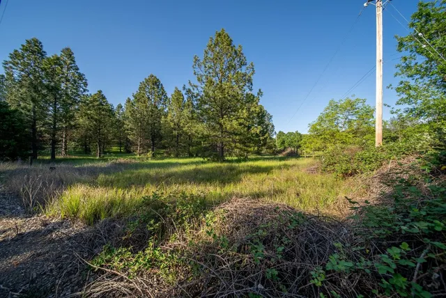 a view of a city and mountains