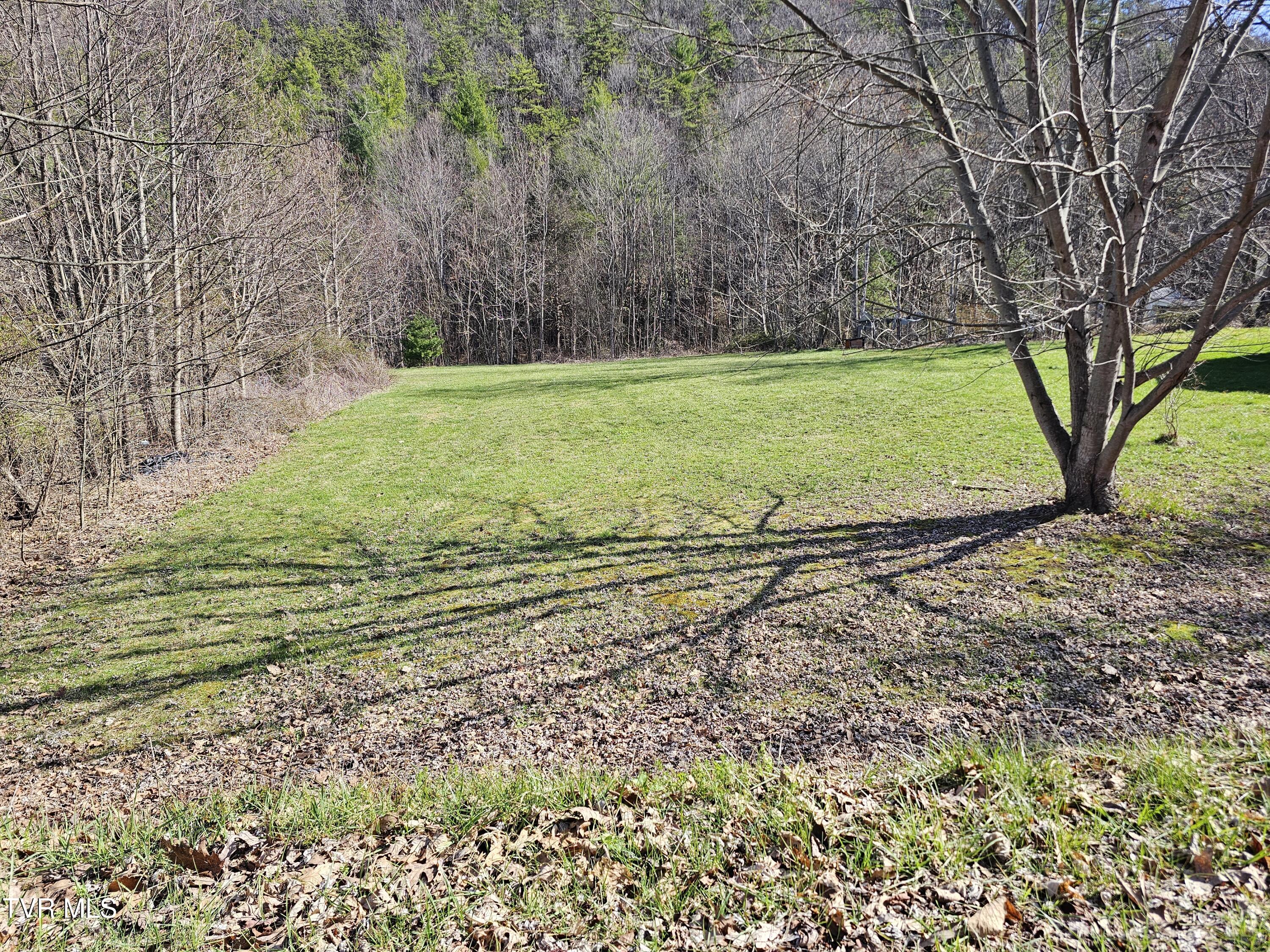 1843 St Clairs Creek Road Chilhowie, VA 24319 - Photo 2 of 6 2