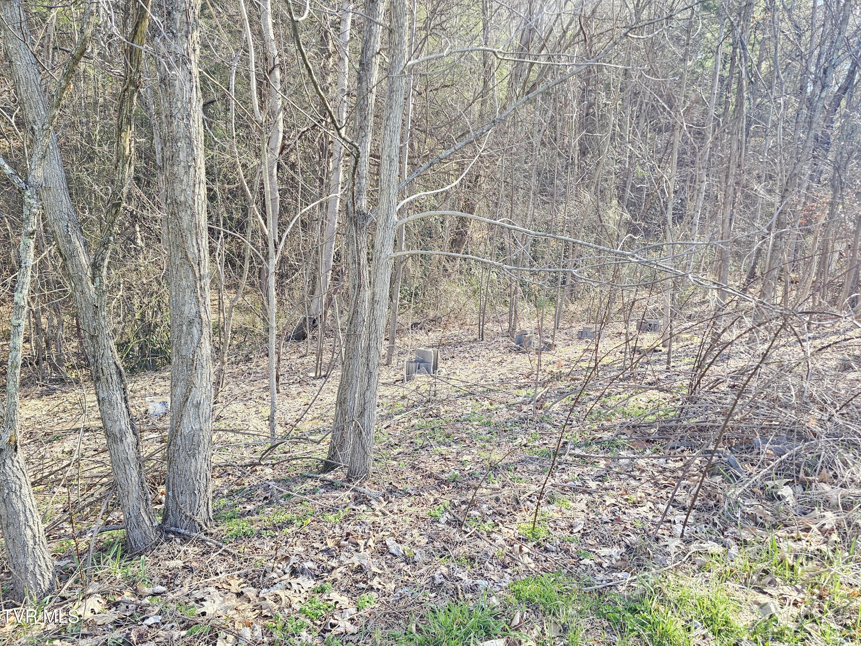 1843 St Clairs Creek Road Chilhowie, VA 24319 - Photo 4 of 6 4