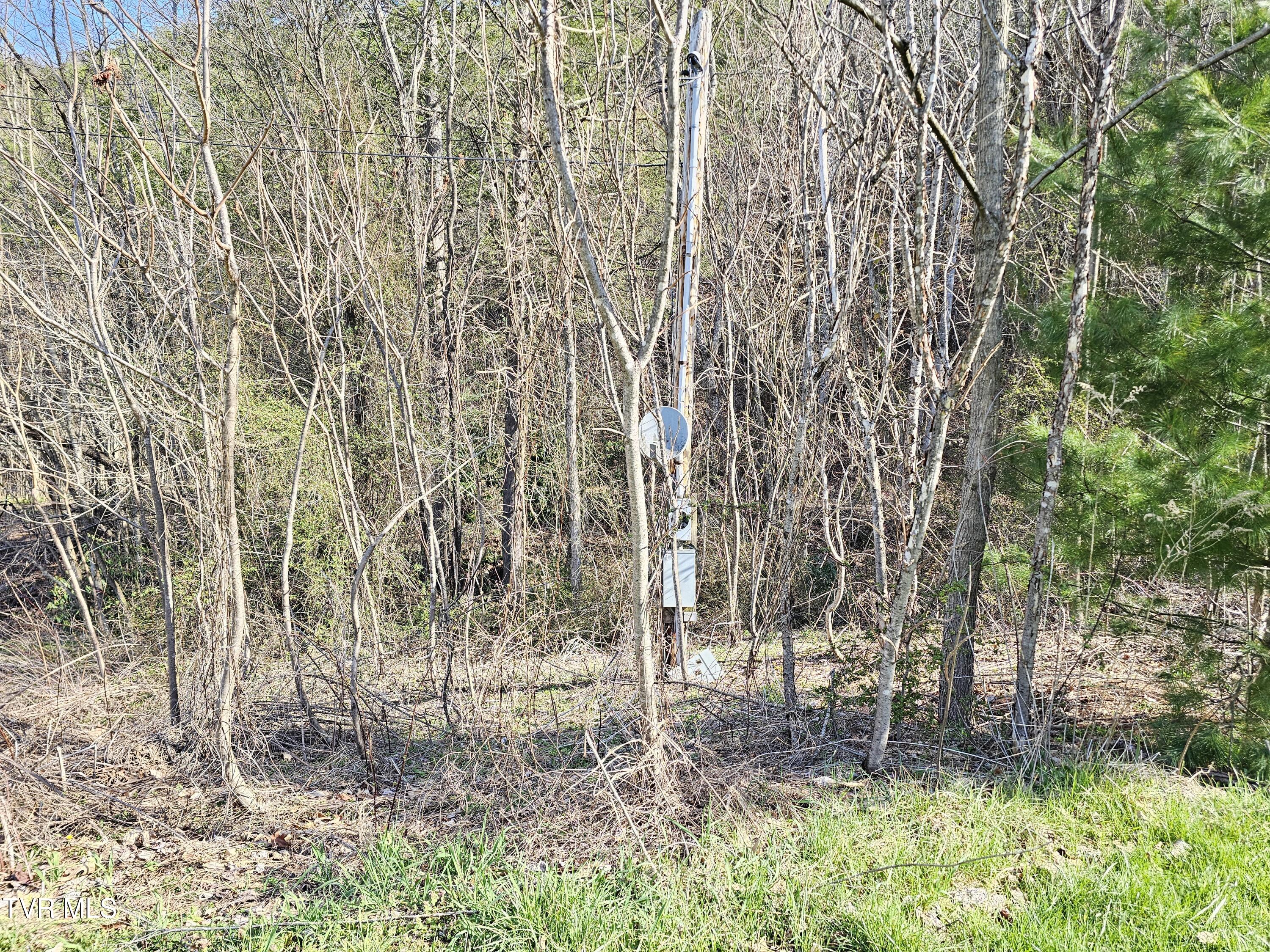 1843 St Clairs Creek Road Chilhowie, VA 24319 - Photo 5 of 6 5