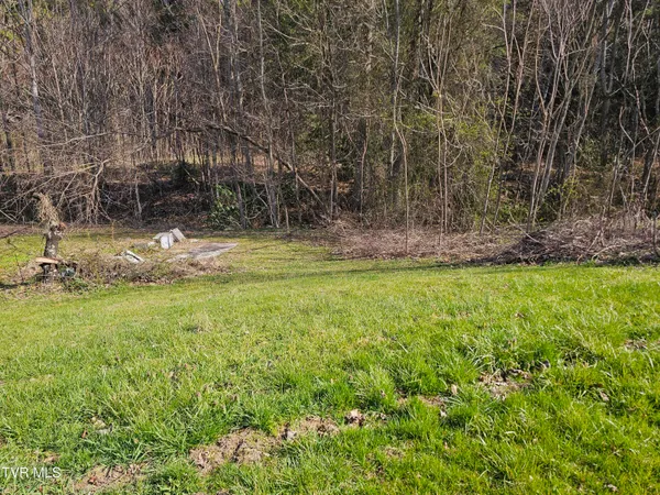 $60,000 | 1843 St Clairs Creek Road, Chilhowie, VA 24319