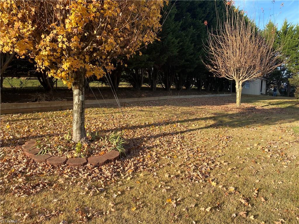 1160 Red Brush Road Mount Airy, NC 27030 - Photo 6 of 37 Gallery Image 6