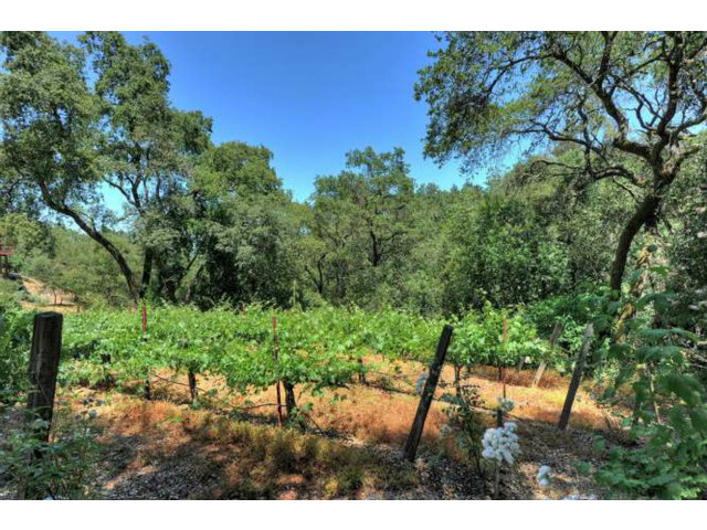 15670 Peach Hill Road Saratoga, CA 95070 - Photo 25 of 25 a view of a yard