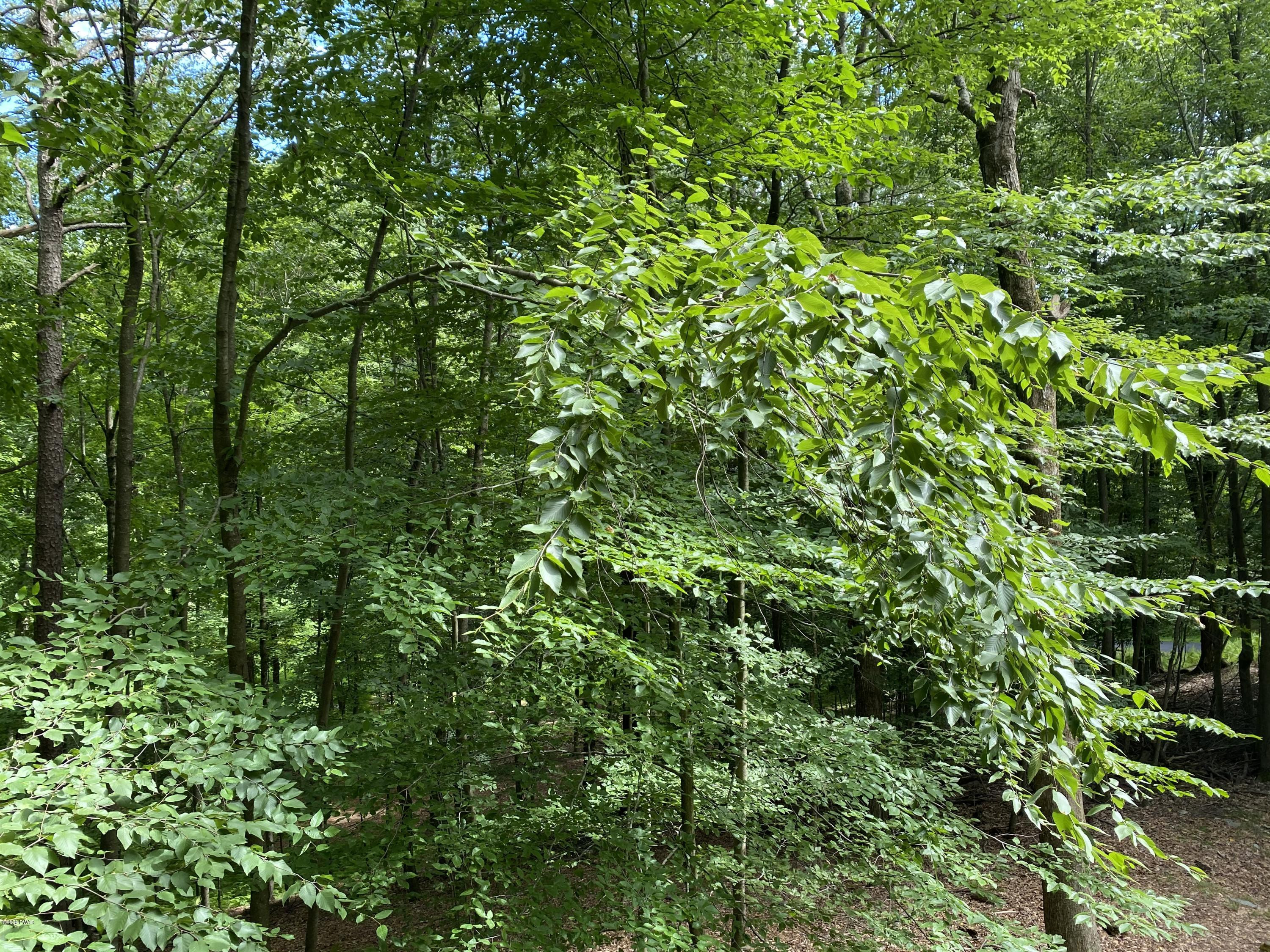 530 West Chipmunk Road Bushkill, PA 18324 - Photo 18 of 34 F72C1AFC-E70E-4826-B660-E830310201BE