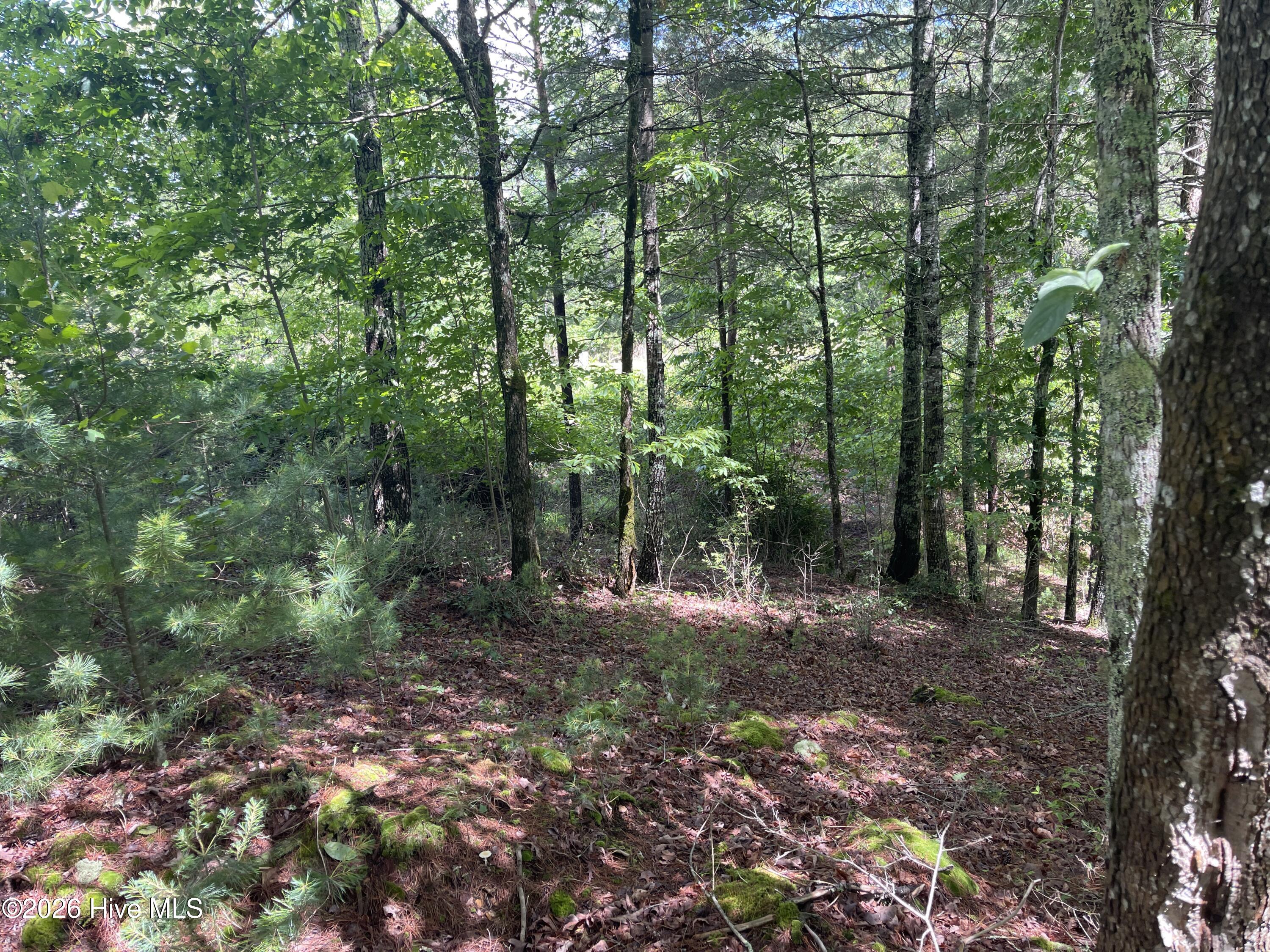 0 River Mountain Road Murphy, NC 28906 - Photo 5 of 6