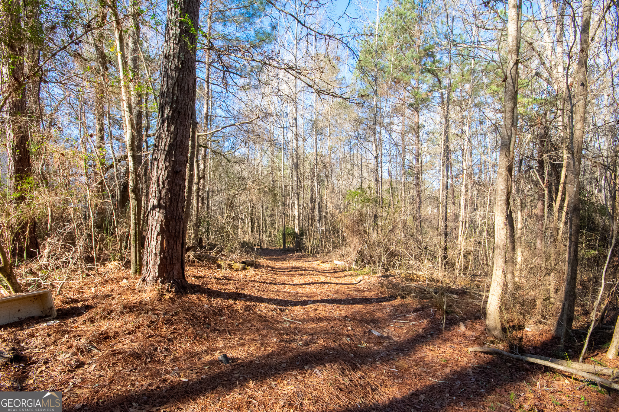 100 Rudders Crossing Newnan, GA 30263 - Photo 53 of 60