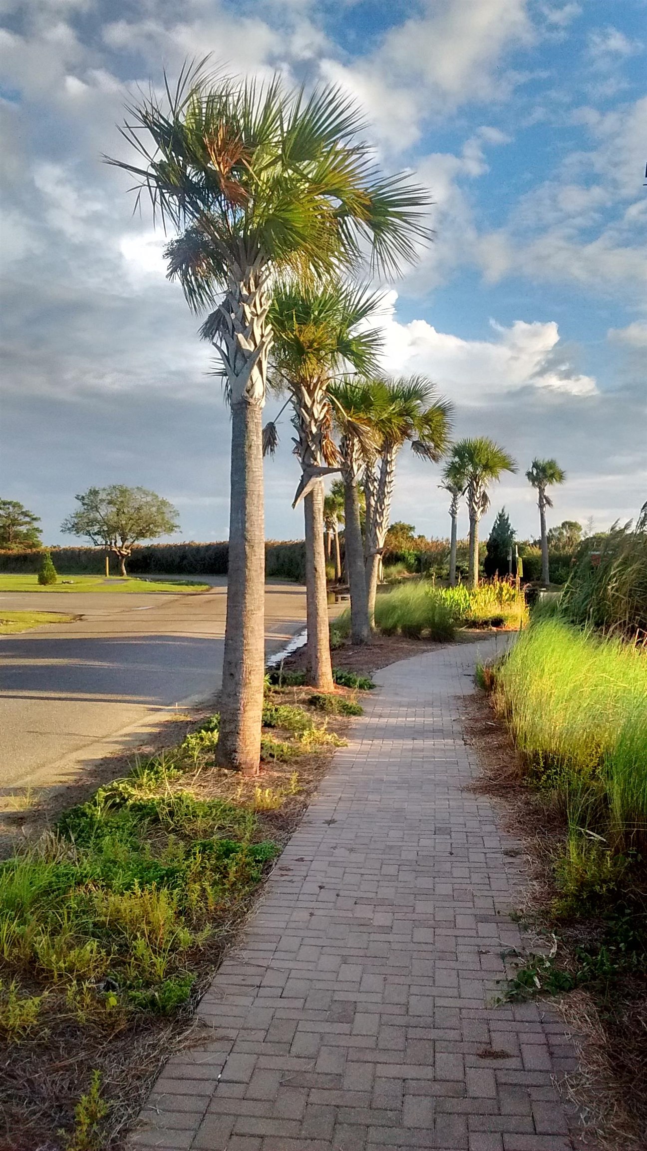 256 Winyah Street Georgetown, SC 29440 - Photo 2 of 6