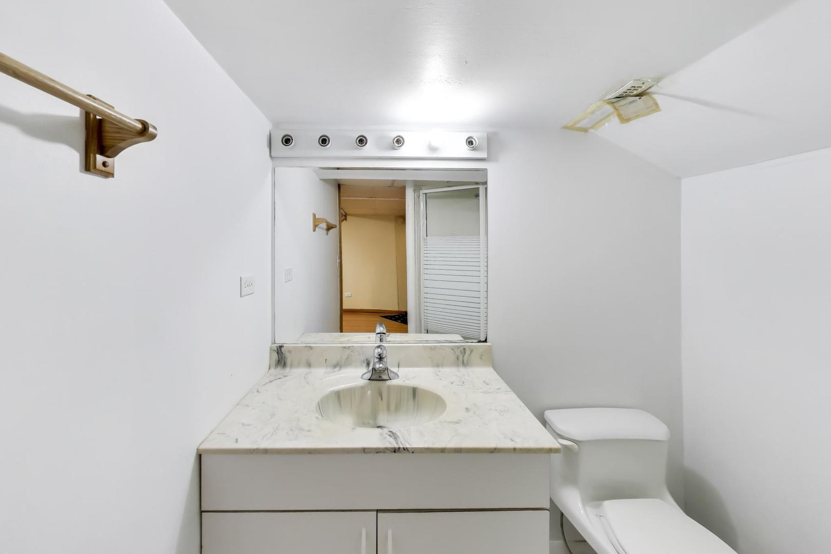 1111 Samstag Court Naperville, IL 60563 - Photo 45 of 61