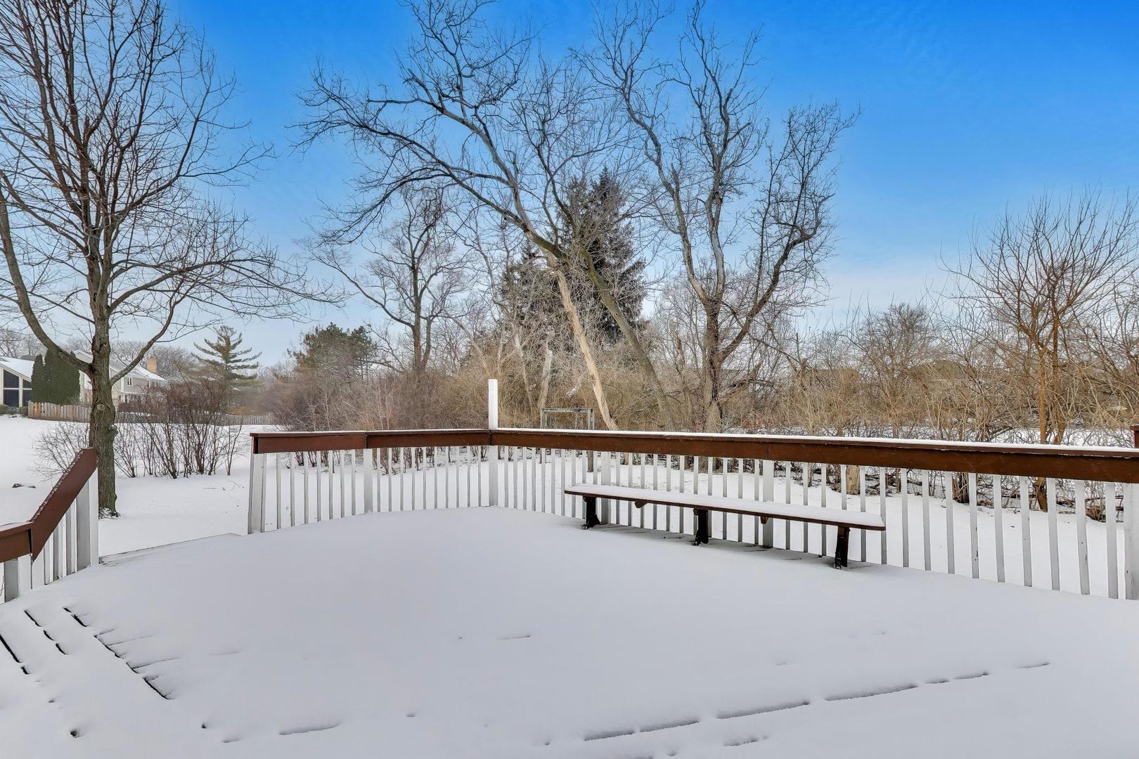 1111 Samstag Court Naperville, IL 60563 - Photo 50 of 61