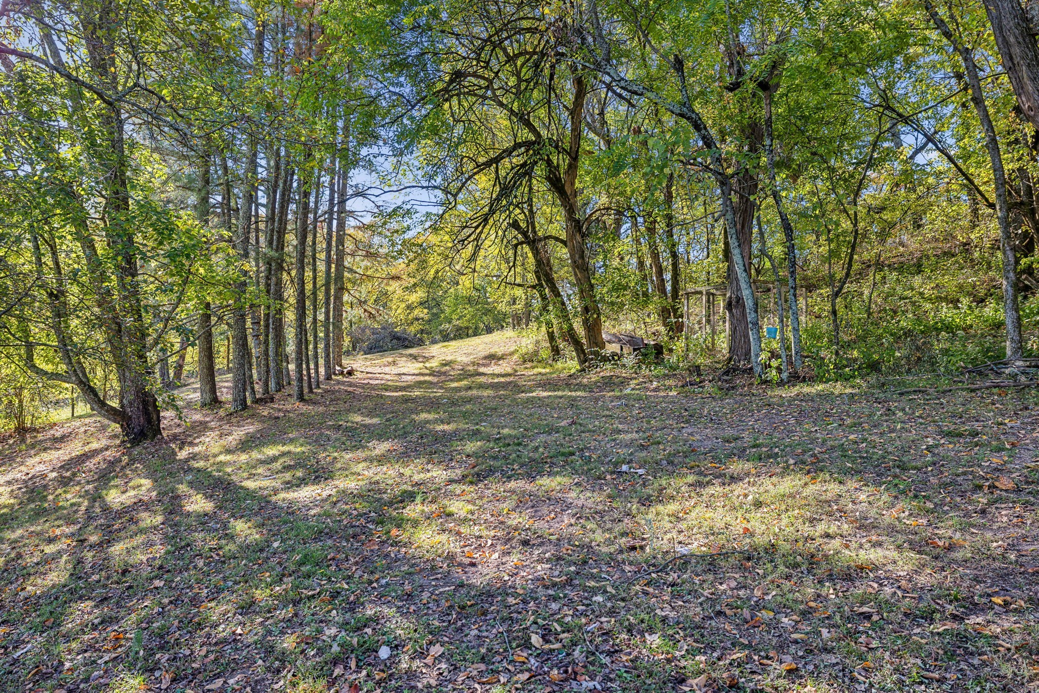 1469 Roy Sellers Road Columbia, TN 38401 - Photo 21 of 46