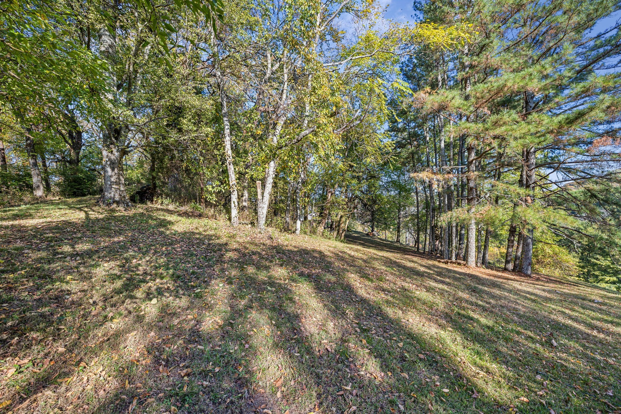 1469 Roy Sellers Road Columbia, TN 38401 - Photo 22 of 46