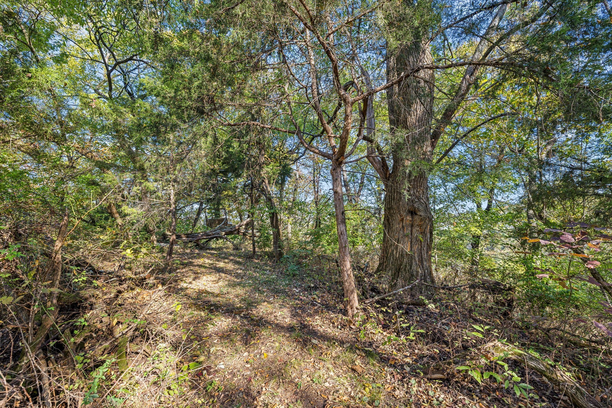 1469 Roy Sellers Road Columbia, TN 38401 - Photo 23 of 46