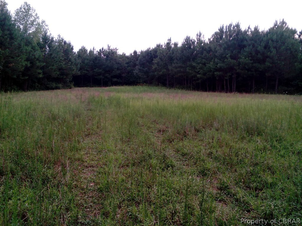 57.4-ac 57.4-ac Poplar Grove Road Center Cross, VA 22437 - Photo 1 of 12