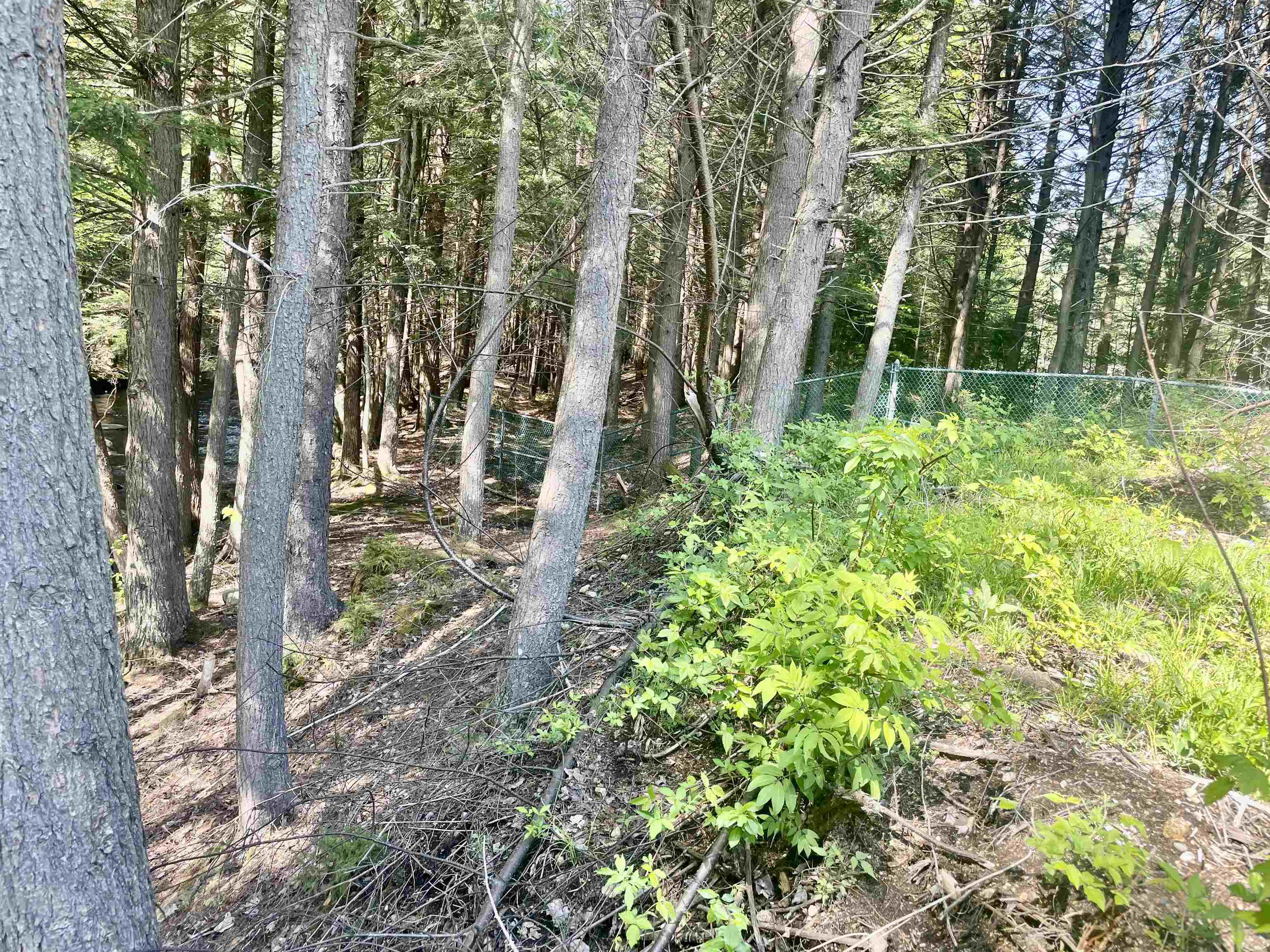 0 Goodbout Road Lincoln, NH 03251 - Photo 5 of 20