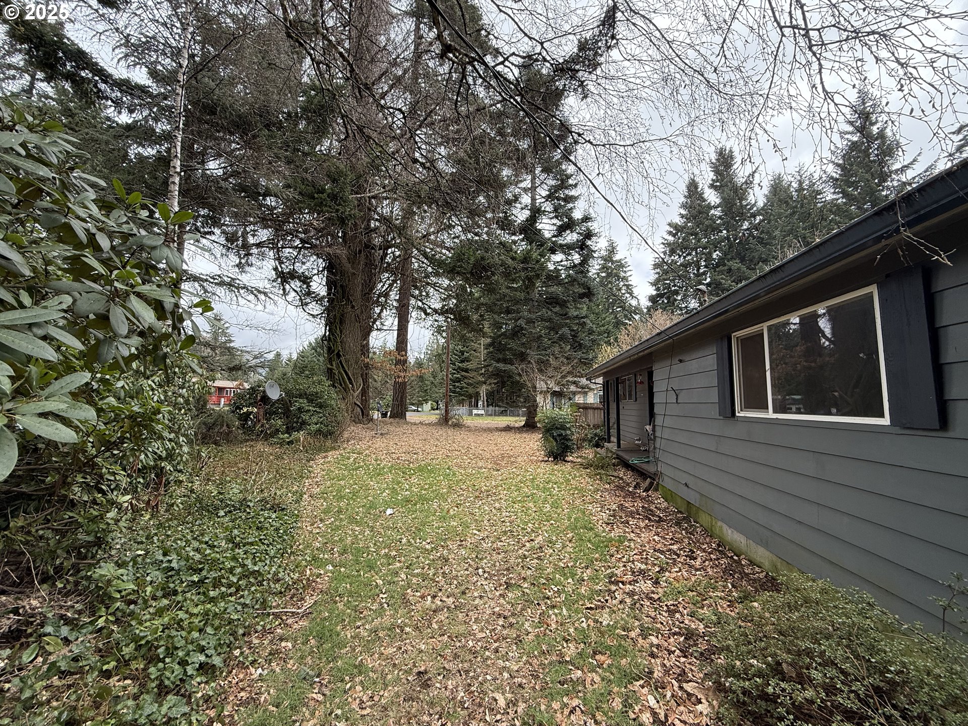 101 Brooks Road Carson, WA 98610 - Photo 7 of 16 a backyard of a house with large trees